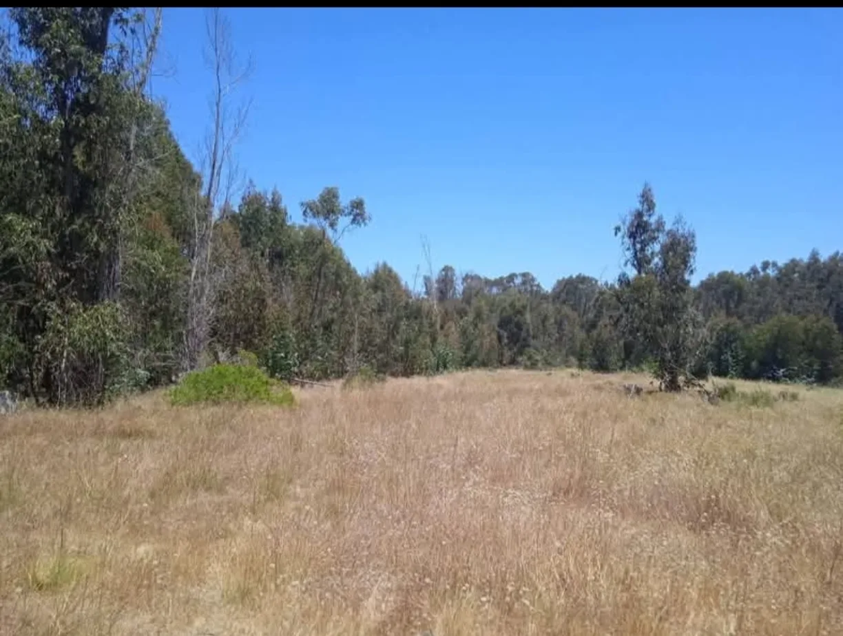 Se vende terreno en Huaquen , fotografía 2