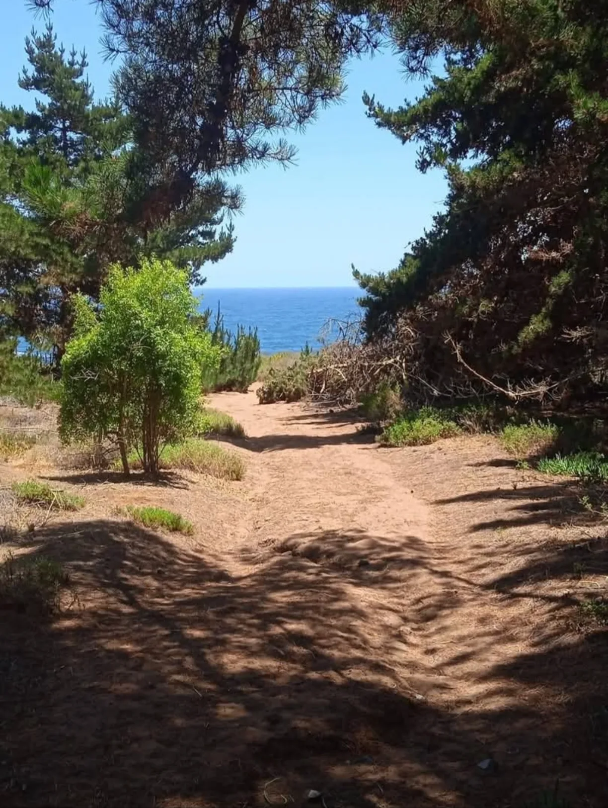 Se vende terreno en Huaquen , fotografía 4
