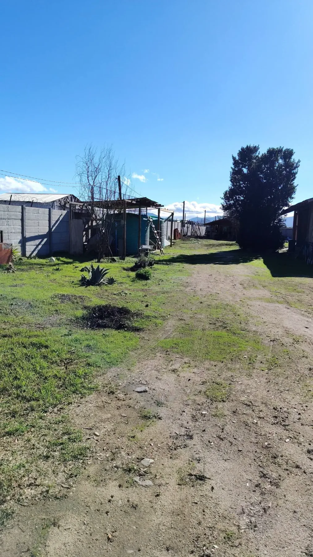 Parcela con casa en San Pedro , fotografía 7