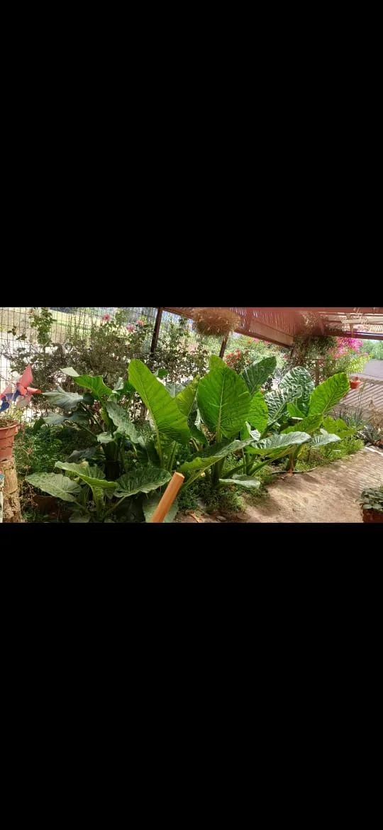 Casa en la Cruz , fotografía 2